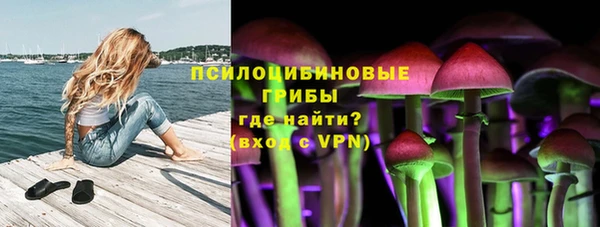 мдпв Медвежьегорск