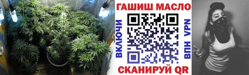 Купить где  Волгоград  ТГК THC oil 