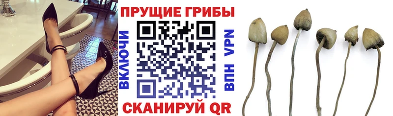 Псилоцибиновые грибы мухоморы  Купить  Волгоград 